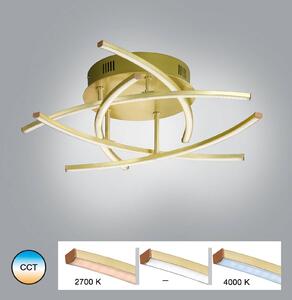 FISCHER & HONSEL Plafoniera LED Cross Tunable White, a 5 luci, ottone