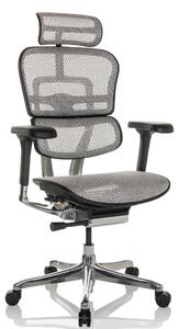 Sedia da ufficio ergonomica con supporto lombare, seconda generazione, colore grigio rete