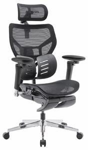 Sedia da ufficio ergonomica - Sedia ergonomica da scrivania - Supporto lombare e poggiatesta 4D - Braccioli 6D - Nero