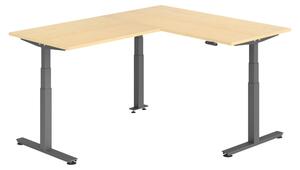 Scrivania angolare bümö regolabile elettricamente in altezza, forma a L - Finitura: acero, struttura: grafite, dimensioni: scrivania angolare 160 x 200 cm