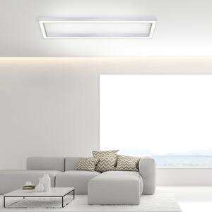 Paul Neuhaus LED plafoniera PURE LINES CCT luce cambio colore dimmerabile telecomando, alluminio sottile soggiorno, camera da letto, sala da pranzo, corridoio, cucina, ufficio 6021-13, 6021-95, 6023-13, 6023-95, 6022-13, 6022-95