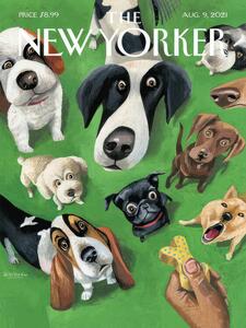 Illustrazione The Ny Magazine Cover 65