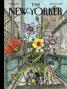 Illustrazione The Ny Magazine Cover 06