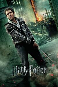 Stampa d'arte Harry Potter - Neville Longbottom