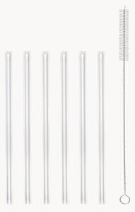 Set cannucce dritti in vetro borosilicato con scovolino Amo 7 pz