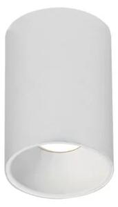 Rossini Pick PIK001+PIK003 apparecchio da soffitto con struttura cilindrica completo di riflettori