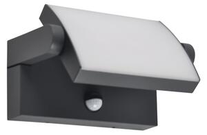 Brilagi - Applique LED da esterno ANKLE LED/12W/230V IP65 nera