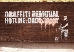 Posters, Stampe Banksy Street Art - Graffity Removal Hotline