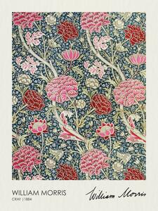 Riproduzione Cray 1884, William Morris