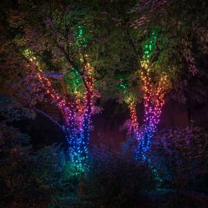 Catena Twinkly RGBW, 250 luci, 20m trasparente