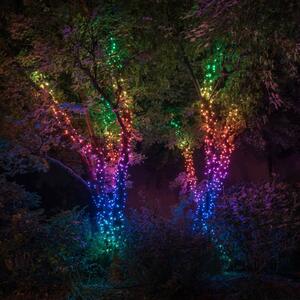 Ghirlanda luminosa Twinkly RGB, nero 250 luci 20 m