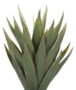 Vaso artificiale di Aloe Vera verde e Nero sintetico 52 cm materiale decorativo accessorio per interni Beliani