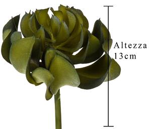 Set 6 Aoenium arboreum Artificiale Altezza 13 cm Verde