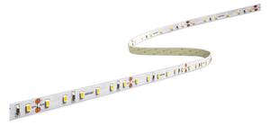 Century AC2-142430 Accento White 5metri Striscia Led 24V 14W/m 1.400 lm/m 60 led/m 3000K