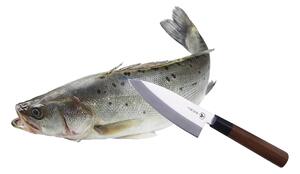 Coltello Giapponese Lama 14 cm per Intaglio e Filettatura Carne e Pesce