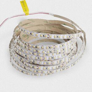 Striscia LED 3528 Bianco freddo (6000k) 48W 500CM 24V IP20