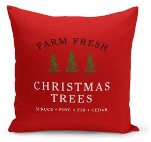 Federa decorativa natalizia rossa, 43 x 43 cm Christmas Noel - Kate Louise