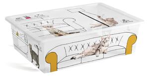 Scatola con coperchio bianca in plastica 55x39x16 cm C Box Style – KIS