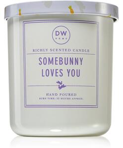DW Home Signature Somebunny Loves You candela profumata 264 g