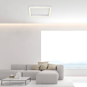 Paul Neuhaus Pure-Lines LED soffitto quadrata alu