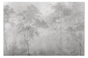 Foresta nebbiosa - Uccelli che planano sopra gli alberi fitti nella nebbia