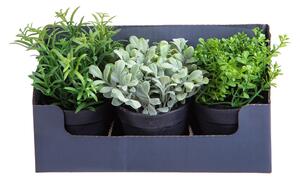 Set 2 Mini Piante Aromatiche Artificiali 6 Pezzi in Vaso assortite Altezza 20 cm Verde