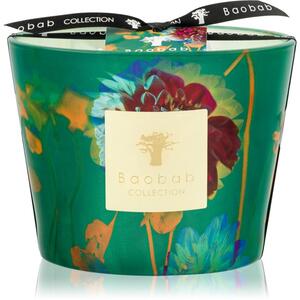 Baobab Collection Arty Flowers Bouquet candela profumata 500 g