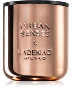 Ladenac Urban Senses Eau De Cypress candela profumata 500 g
