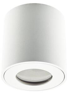 Emithor 48620 - Luce Spot da bagno ALMAN 1xGU10/35W/230V IP44 bianco