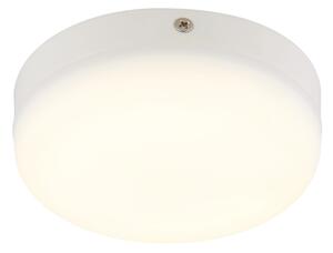 Globo 12387-8W - Plafoniera LED MATTHEW LED/8W/230V bianco