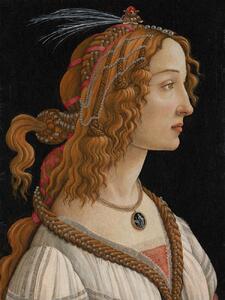Stampa artistica Portrait of Simonetta Vespucci - Sandro Botticelli, (30 x 40 cm)