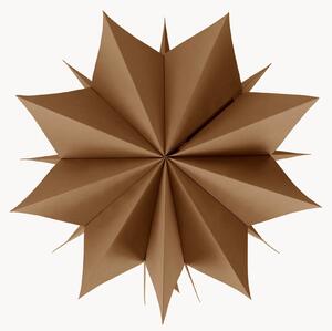 Decorazione luminosa Polaris Star