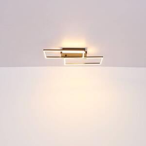 Globo Plafoniera Colli LED, larghezza 52 cm, legno scuro, legno