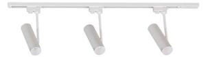 Zuma Line 3557 - Faretto per sistema a binario LISA 3xGU10/35W/230V bianco
