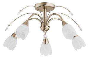 Plafoniera BASTER 5xE14/10W/230V dorata