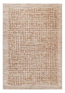 Tappeto beige 240x320 cm Anders Beige Natural – Asiatic Carpets