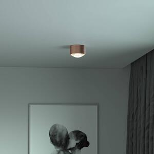 Top Light Puk! 120 One spot LED soffitto lente satin, rame
