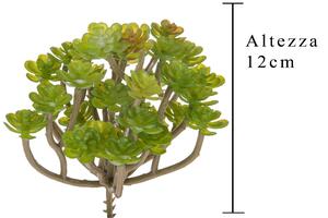 Set 9 Aoenium Succulent Artificiale Altezza 12 cm Verde
