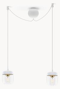 Lampada a sospensione Acorn