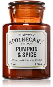 Paddywax Apothecary Pumpkin Spice candela profumata 226 g