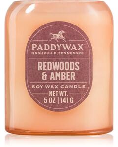 Paddywax Vista Redwoods & Amber candela profumata 142 g