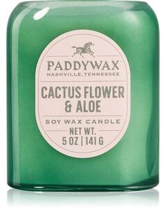 Paddywax Vista Cactus Flower & Aloe candela profumata 142 g