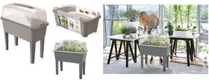 Buzzi Mini Serra da Balcone con coperchio Trasparente - Drep770