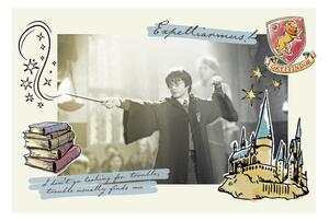 Stampa d'arte Harry Potter - Expelliarmus
