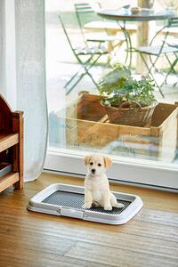 STEFANPLAST Toilette Per Cani Puppy Training cm 60x40xH.4 - PRO600