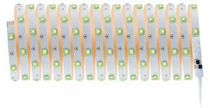 Paulmann 3989 - Striscia LED RGBW dimmerabile 19W TIP 10 m 230V + telecomando