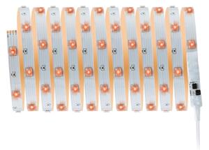 Paulmann 3988 - Striscia LED RGBW/13W dimmerabile TIP 5 m 230V + telecomando