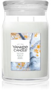 Yankee Candle Silver Birch candela profumata 567 g