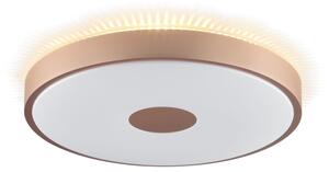 Brilliant - Plafoniera LED TAVIS LED/24W/230V, diam. 44,5 cm, oro rosa
