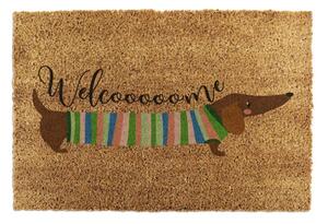 Zerbino in fibre di cocco 40x60 cm Welcome Sausage Dog – Artsy Doormats